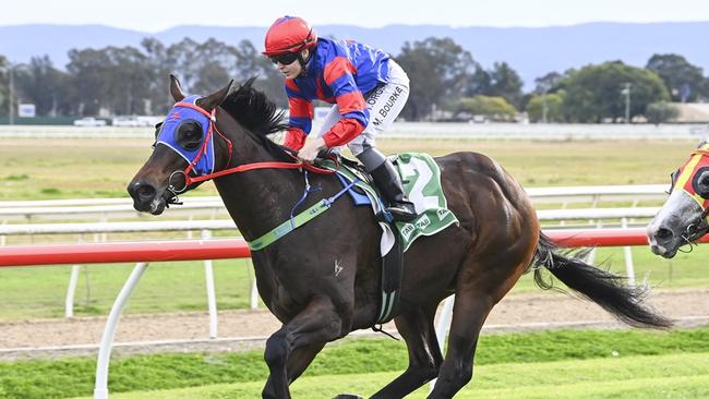 Gogmagog is looking for another first-up win when he resumes at Wyong. Picture: Bradley Photos