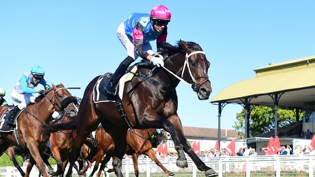 Astapor will warm up for the QTIS Jewel Day in a sprint at Doomben this Saturday. Picture: Grant Peters/Trackside Photography