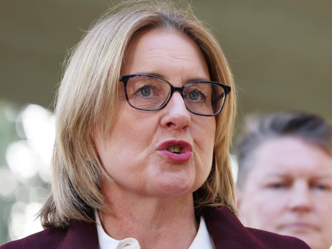 Victorian Premier Jacinta Allan has announced machete sales will be banned as of this Wednesday. Picture: NewsWire/David Crosling