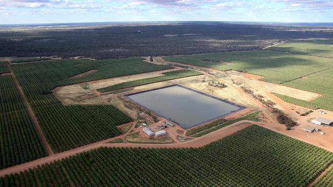 The federal government plans to first try and buyout private diverters water, most of which supports high value crops, such as almonds, olives and tablegrapes. Picture: Yuri Kouzmin