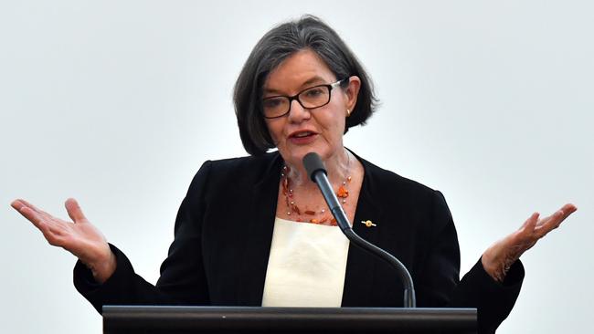 Cathy McGowan, the former independent MP for Indi in rural Victoria. Picture: AAP