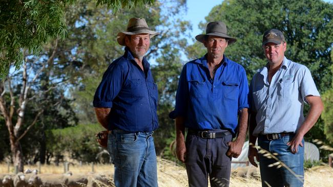 Keyneton farmers Joe (left) and Graham Keynes (centre) with friend and stock agent Daniel Doecke (right). Photo: Sam Wundke.