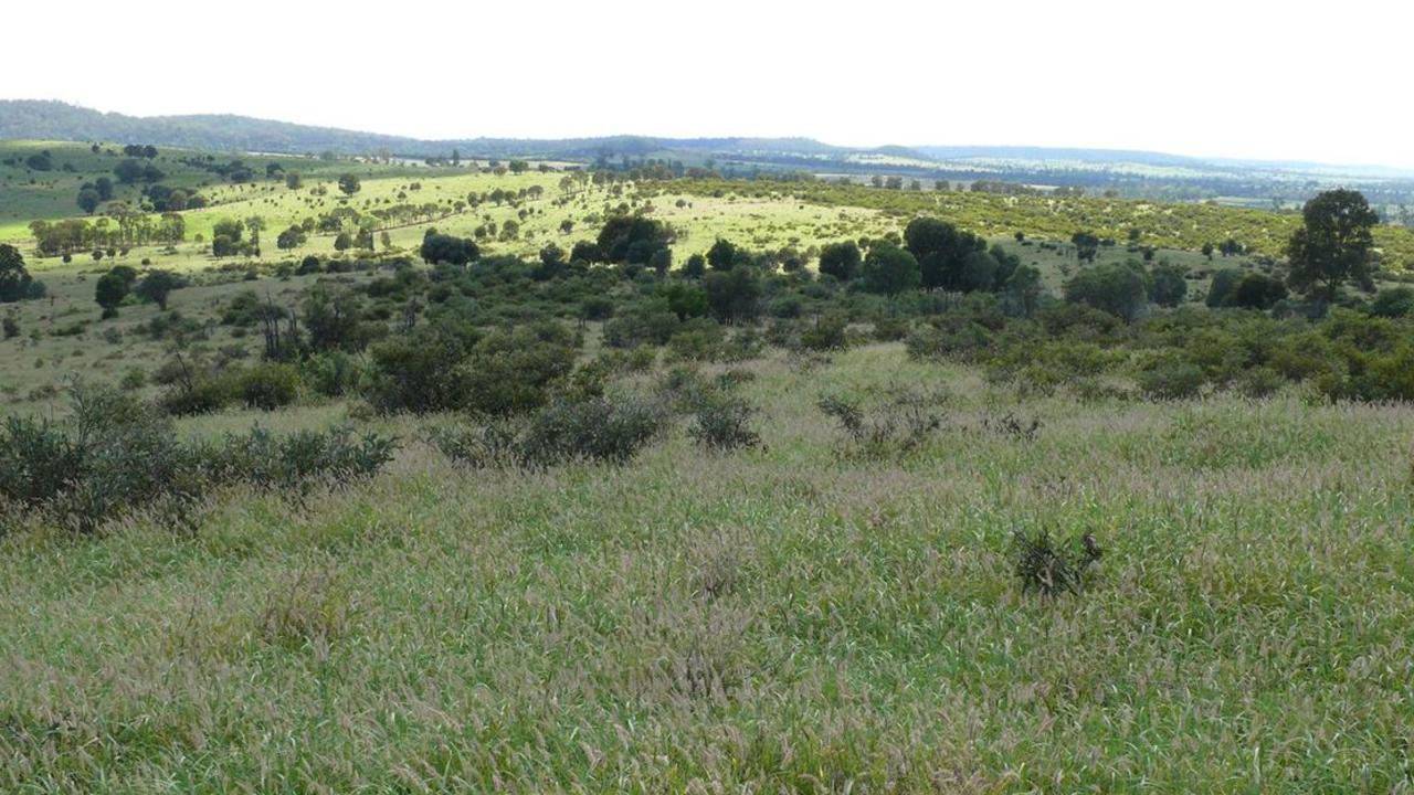 FOR SALE: A cattle property that has been in the hands of a Western Downs family for over 100 years is set to go under the hammer this March. Pic: Nutrien Harcourts GDL Roma