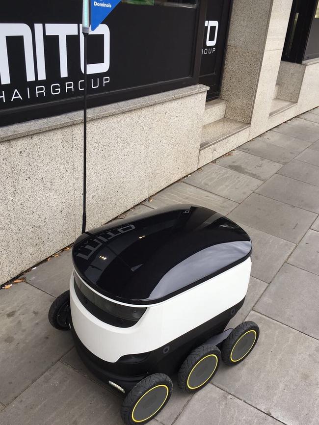 Domino's has delivered its first pizza by robot.