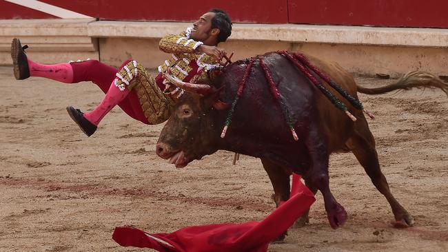 Goaded, and weakening: Another lance is shoved into the bull as his fight ebbs away. Picture: AP/Alvaro Barrientos)