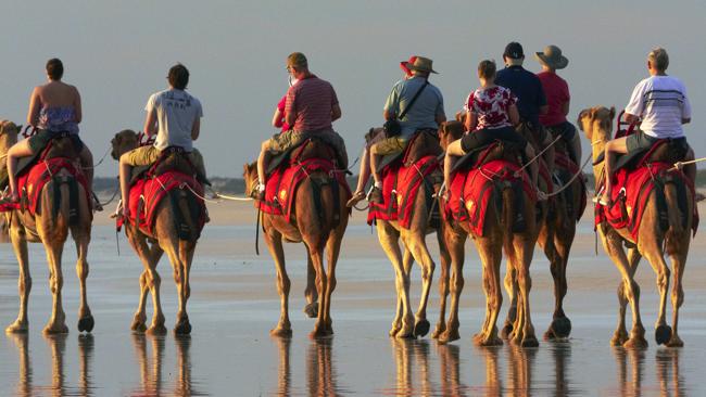 A train of camels carries tourists on Cable Beach. Picture: Supplied.