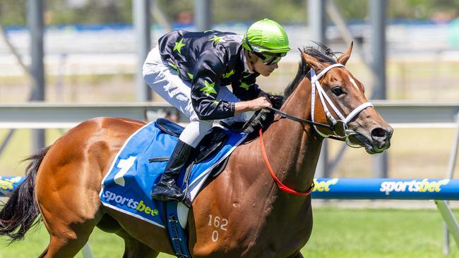 Runaway Statement cruised to a comfortable win at Morphettville. Picture: Makoto Kaneko