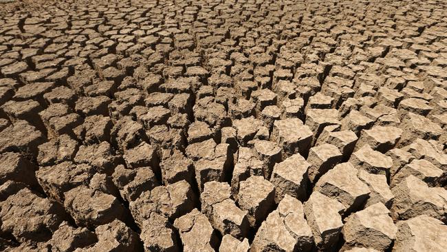 Generic Cracked dry earth , mud, dirt, in a empty dry dam floor also with a dried jaw bone from a skull , on a drought declared farm , which has not had rain or water for months, near Charters Towers , in North QLD.