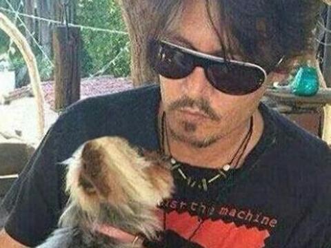 Johnny Depp dog Picture: Pinterest