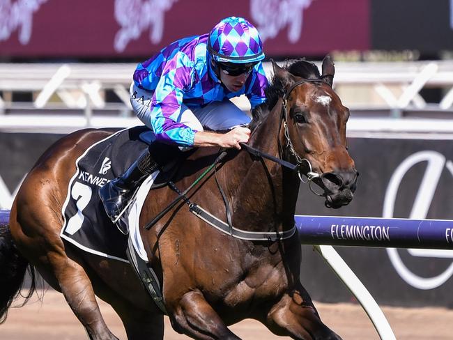 Pride Of Jenni ridden by Declan Bates wins the Kennedy Champions Mile at Flemington Racecourse on November 11, 2023 in Flemington, Australia. (Photo by Pat Scala/Racing Photos via Getty Images)