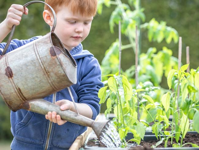 Efficient water use is important. Picture: iStock