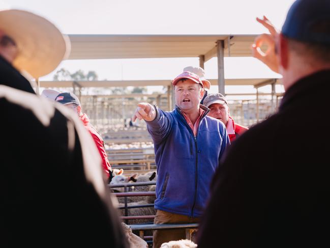 On point: Elders auctioneer John Sutherland calls for bids at the Bendigo prime lamb sale on Monday. Picture: Chloe Smith
