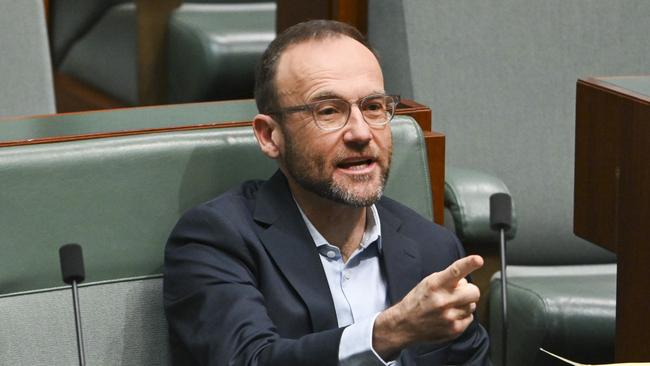 Mr Bandt received interjections from the crossbench during his motion. Picture: NCA NewsWire / Martin Ollman