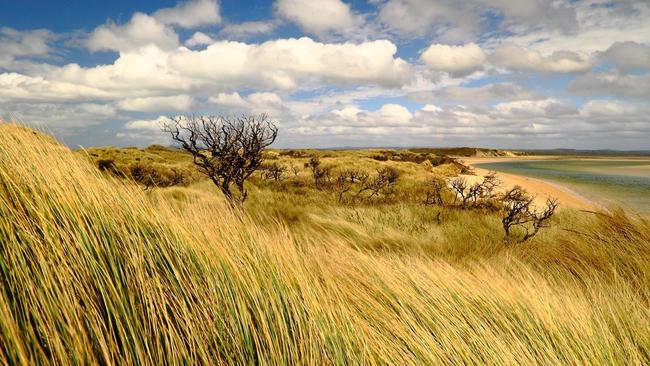 Marram Inlet at Detention River, in North-West Tasmania. Picture: David Murphy