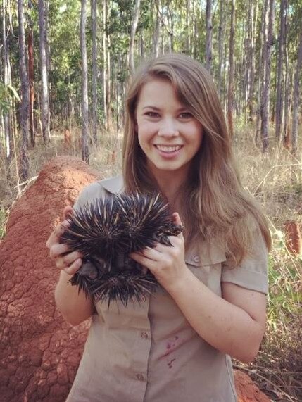 I found my favourite animal on the CrocTrip 2016 !!! It’s a happy day here at the Steve Irwin Wildlife Reserve when you get to cuddle a spiky echidna. Picture: Australia Zoo/Instagram