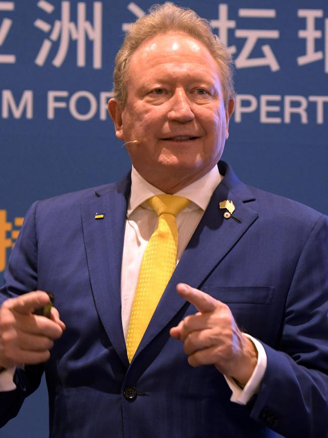 Andrew Forrest. Picture: NCA NewsWire/Sharon Smith