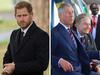 ‘Removed’: Intriguing twist in Harry saga