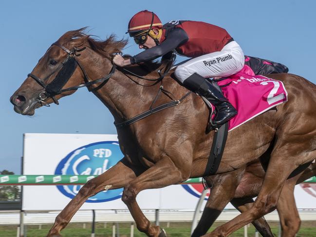 Jockey Ryan Plumb rode the Michael Costa-trained Nothing Needed to victory in the PINK RIBBON CUP Fillies and Mares Class 3 Handicap (1400m). Picture credit: Greg Irvine, Magic Millions.