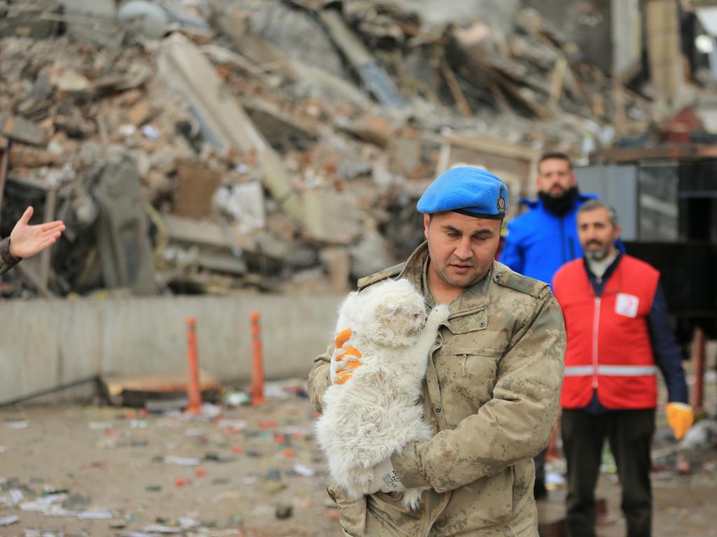 Turkish gendarmerie rescued a cat under rubble of a Galeria Mall. Picture: Aydin Arik/Anadolu Agency via Getty Images