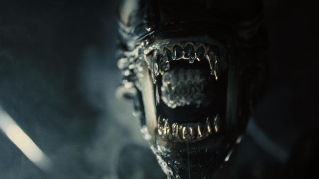 Xenomorph in 20th Century Studios' ALIEN: ROMULUS. Photo courtesy of 20th Century Studios. © 2024 20th Century Studios. All Rights Reserved.