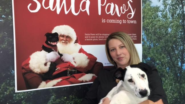 RSPCA’s Carmen Stephens with Harold, under a poster promoting their fundraising Santa Paws picture shoot at Rouse Hill Town Centre. Picture: Julie Wood