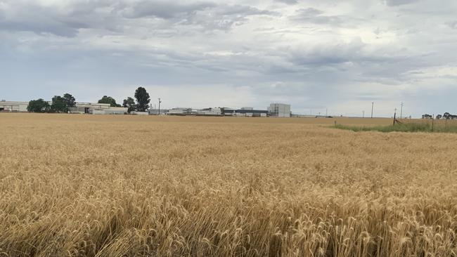 The site of the proposed $130 million Dubbo hydrogen, gas plant development on Yarrandale Road. Picture: Energy Transition Solutions