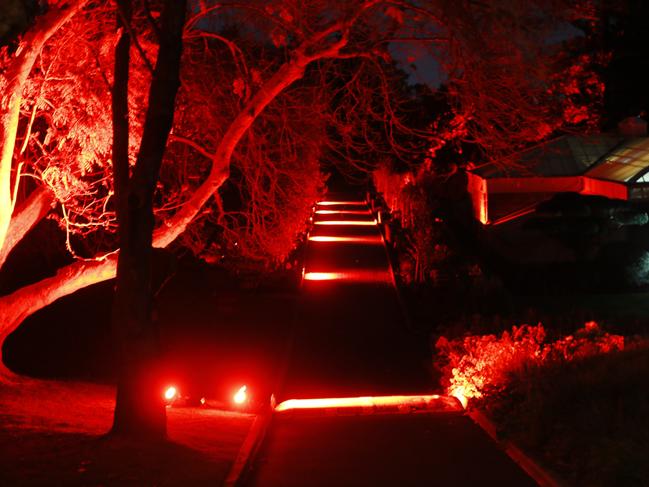 The Royal Tasmanian Botainical Gardens’ paths lit up in red. Picture: MATT THOMPSON