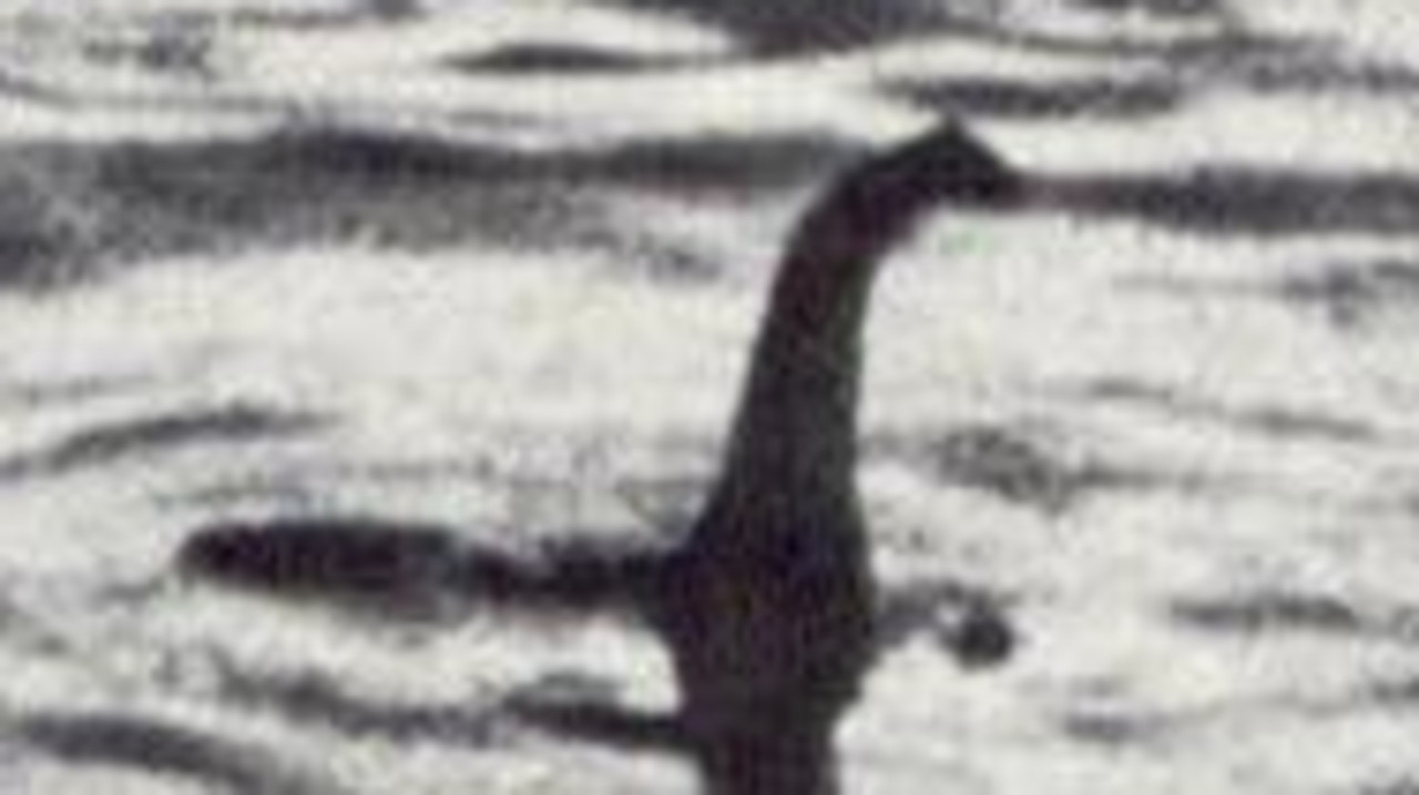 Loch Ness monster sightings could be whale penises | news.com.au ...