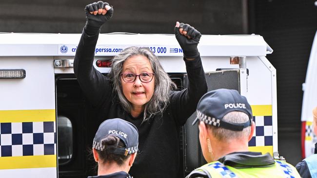 Extinction rebellion protester Meme Thorne is arrested after being brought down from the Morphett St bridge. Picture: NCA NewsWire / Brenton Edwards