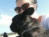 Family’s hefty reward after pet dog shot, killed in own yard
