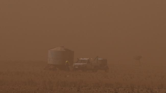 A farmer checks his feed bin in paddock off the Barrier Highway near Whyte Yarcowie. Picture Mark Brake