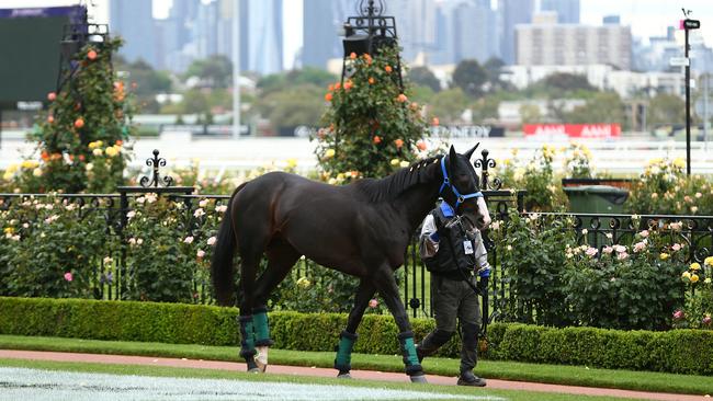 Mer De Glace in the mounting yard on Derby Day at Flemington Racecourse on Saturday. Picture: Robert Cianflone/Getty Images