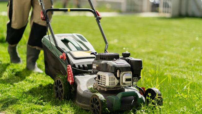 As a teenager I worked as a gardener for an old lady, cutting hedges and mowing lawns.