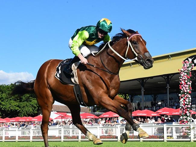 Yellow Brick moves to within touching distance of scoring a spot in the Group 1 Stradbroke Handicap with his win at Eagle Farm on Saturday. Picture: Grant Peters, Trackside Photography.