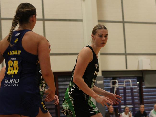 HART Sapphire Series round 1 2024 (Ruby league) Darling Downs Panthers v Bond University Bull Sharks Netball