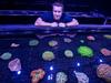 Reef’s future ‘biobanks’ on coral ark