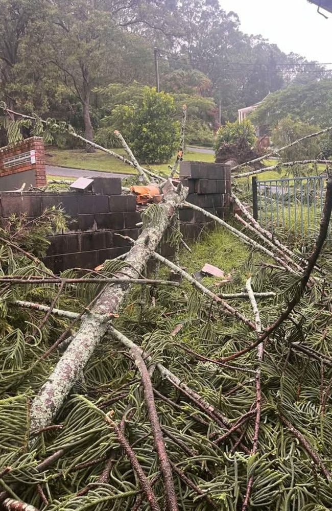 A large tree has fallen onto the roof of a house at Burleigh Heads this morning. It is understood that everyone inside the home at the time is okay. Photos: Jonathan/Higgins Storm Chasing