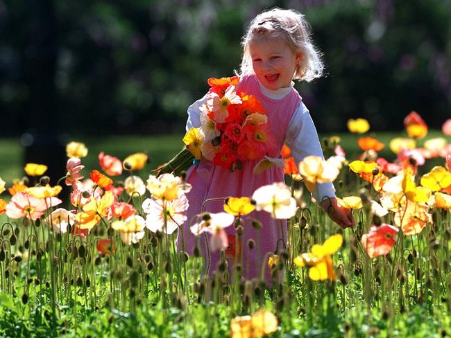 Spring is in the air with three-year-old Charlotte from Port Melbourne enjoying the wildflowers.