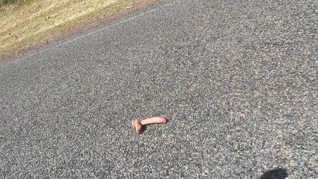 The dildo was spotted on Pioneer Drive in Humpty Doo. Picture: Facebook