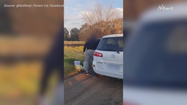 Man stops delivery driver from dumping groceries