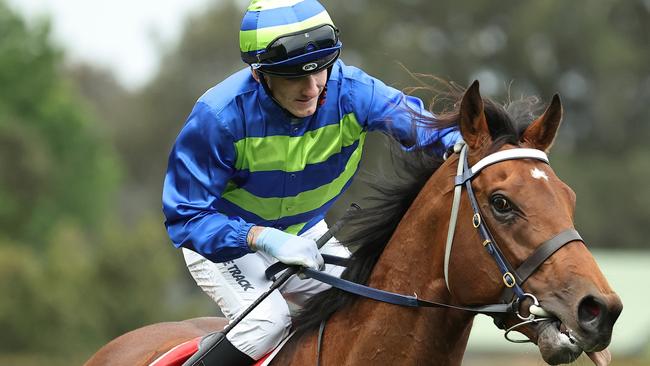 SYDNEY, AUSTRALIA - OCTOBER 12: Beau Mertens riding Attrition wins Race 7 Toyota Forklifts Hill Stakes during Sydney Racing at Rosehill Gardens on October 12, 2024 in Sydney, Australia. (Photo by Jeremy Ng/Getty Images)