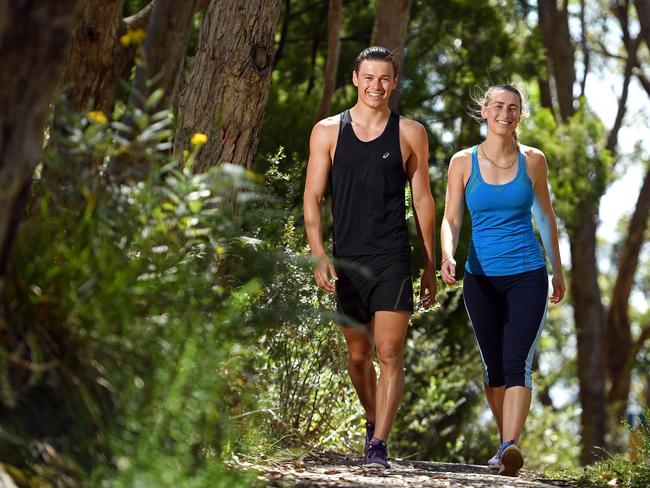 Mount Lofty walking trail upgrades means it will take longer | Daily ...