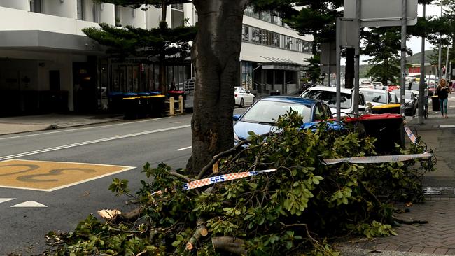 Fallen tree branches lie on the footpath on Wentworth St at Manly after flash flooding caused havoc across the peninsula on Tuesday. Picture: NCA NewsWire / Jeremy Piper