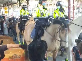 Protester kicks horse in tense standoff with police at Queen Victoria Market.