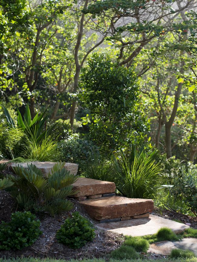 The garden blends in with the natural bush landscape.