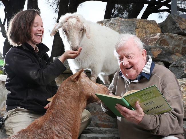 Leith Jenkins, 80 – otherwise known as Mr Royal Show, as the Adelaide Zoo with the miniature goats and senior keeper Michelle Birkett. Picture: Sarah Reed