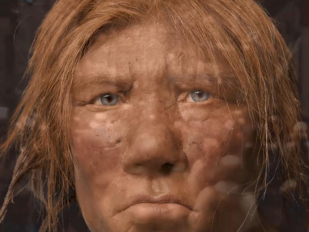 Researchers have determined that much of human DNA comes from Neanderthals, and at least two other hominid species. Picture: National Geographic