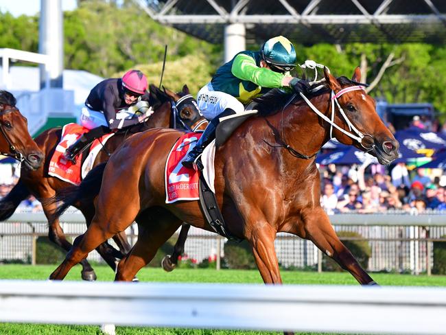 Yellow Brick storms to victory under jockey Ben Thompson to win the Gold Coast Guineas. Picture: Grant Peters - Trackside Photography