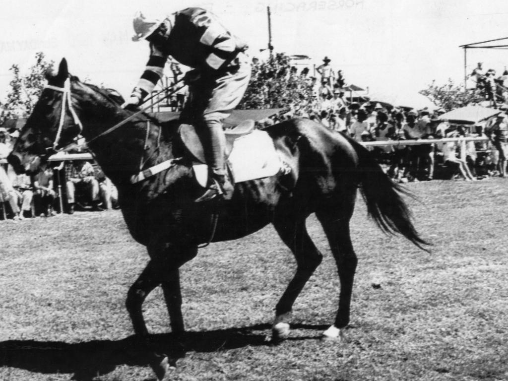 Horseracing - Undated pic of racehorse Fine Cotton ridden by jockey Mark Strip racing at the Gold Coast. Fine Cotton was involved in the ring-in scandal at Eagle Farm on 18 Aug 1984. (Pic by unidentified staff photographer)