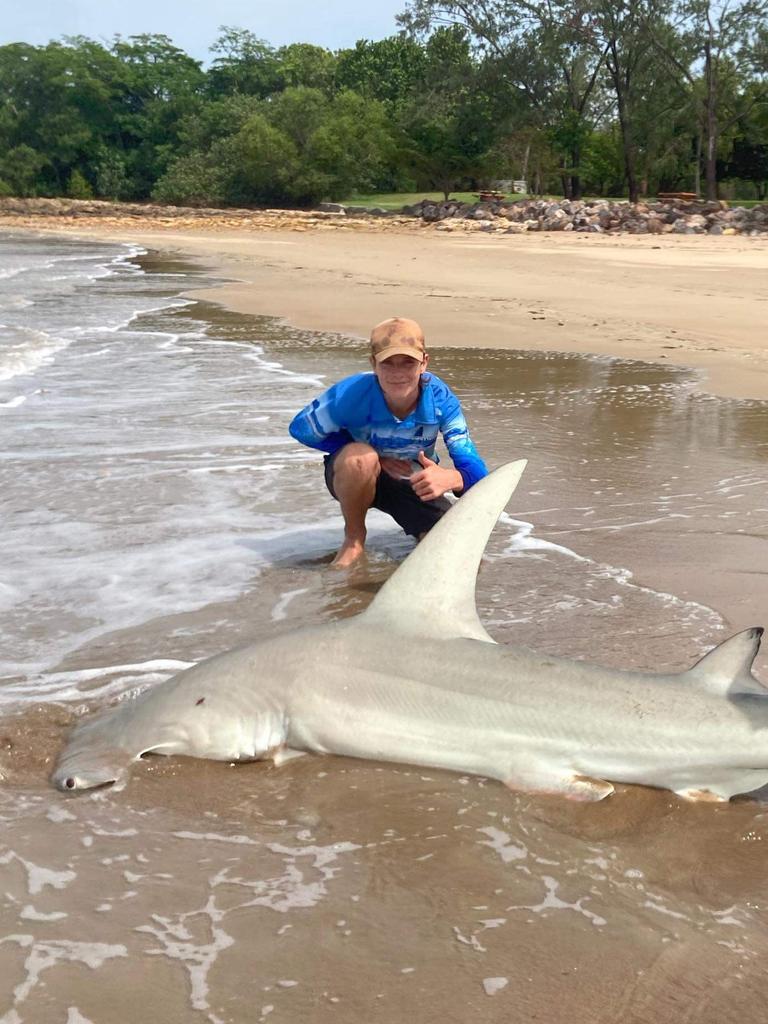 Teen fishermen reel in hammerhead and nurse shark before releasing them  back in the wild